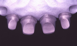 江崎デンタルクリニック、情報公開