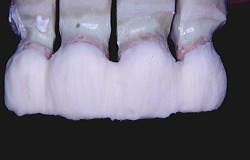 江崎デンタルクリニックトップ・シンボル