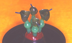 江崎デンタルクリニック、情報公開