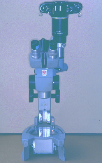 江崎デンタルクリニックトップ・シンボル