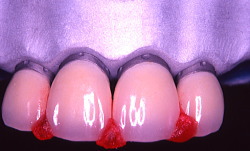 江崎デンタルクリニック、情報公開