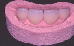 江崎デンタルクリニック、情報公開