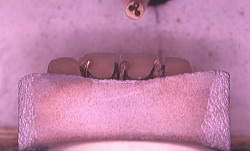 江崎デンタルクリニックトップ・シンボル