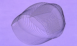 江崎デンタルクリニック、情報公開