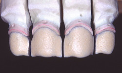 江崎デンタルクリニック、情報公開