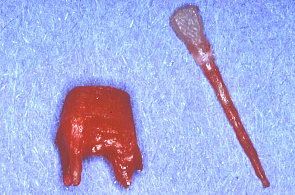 江崎デンタルクリニック、情報公開