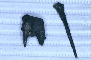 江崎デンタルクリニックトップ・シンボル